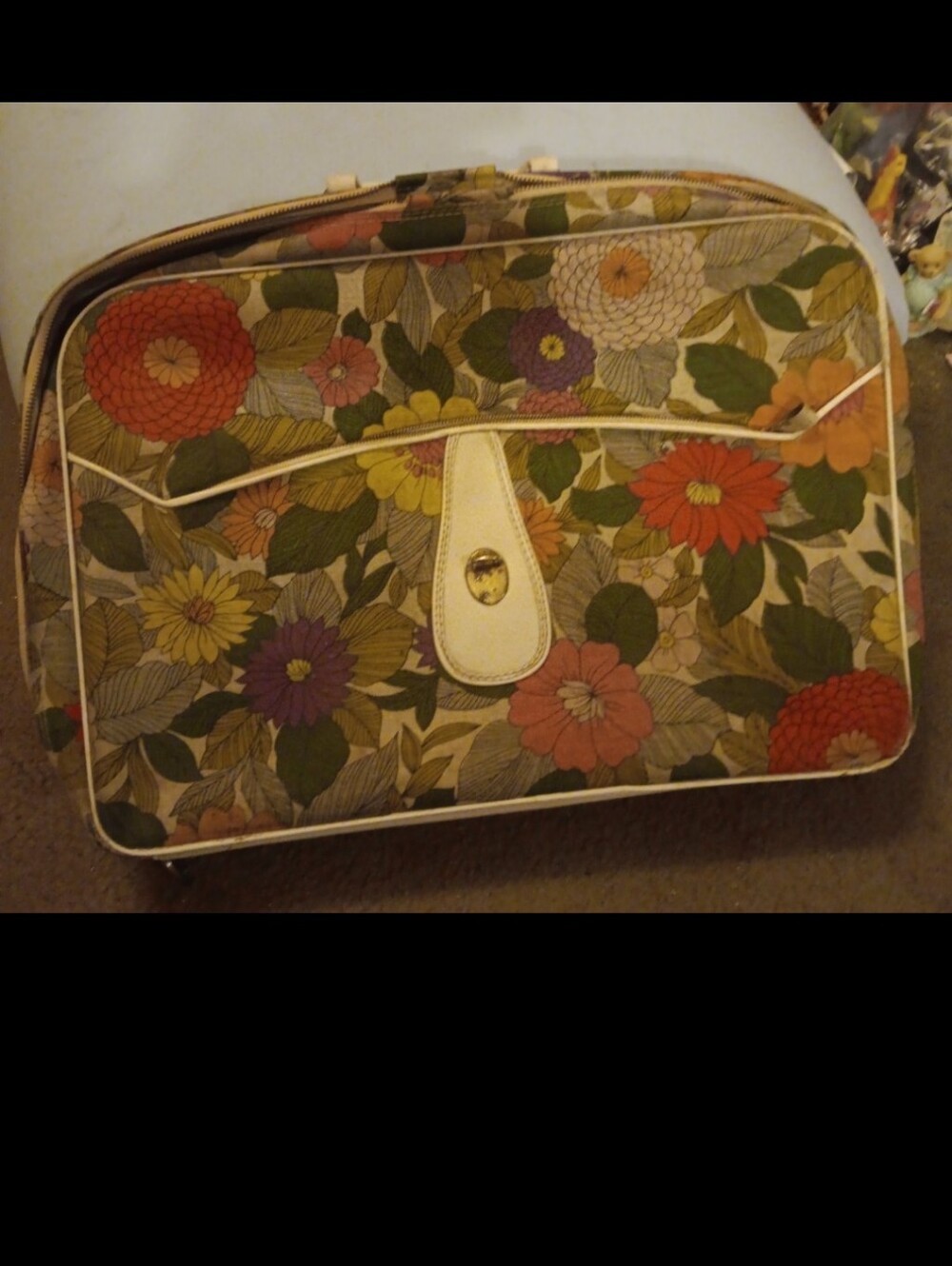 Vintage 60s-70s namikawa luggage bag with key